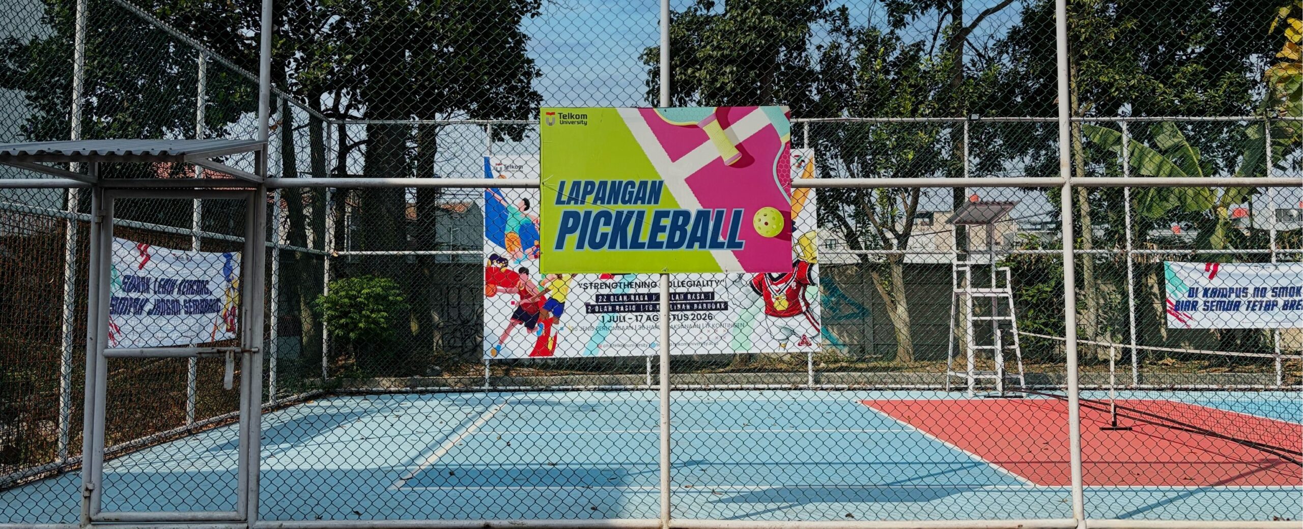 Pickleball image