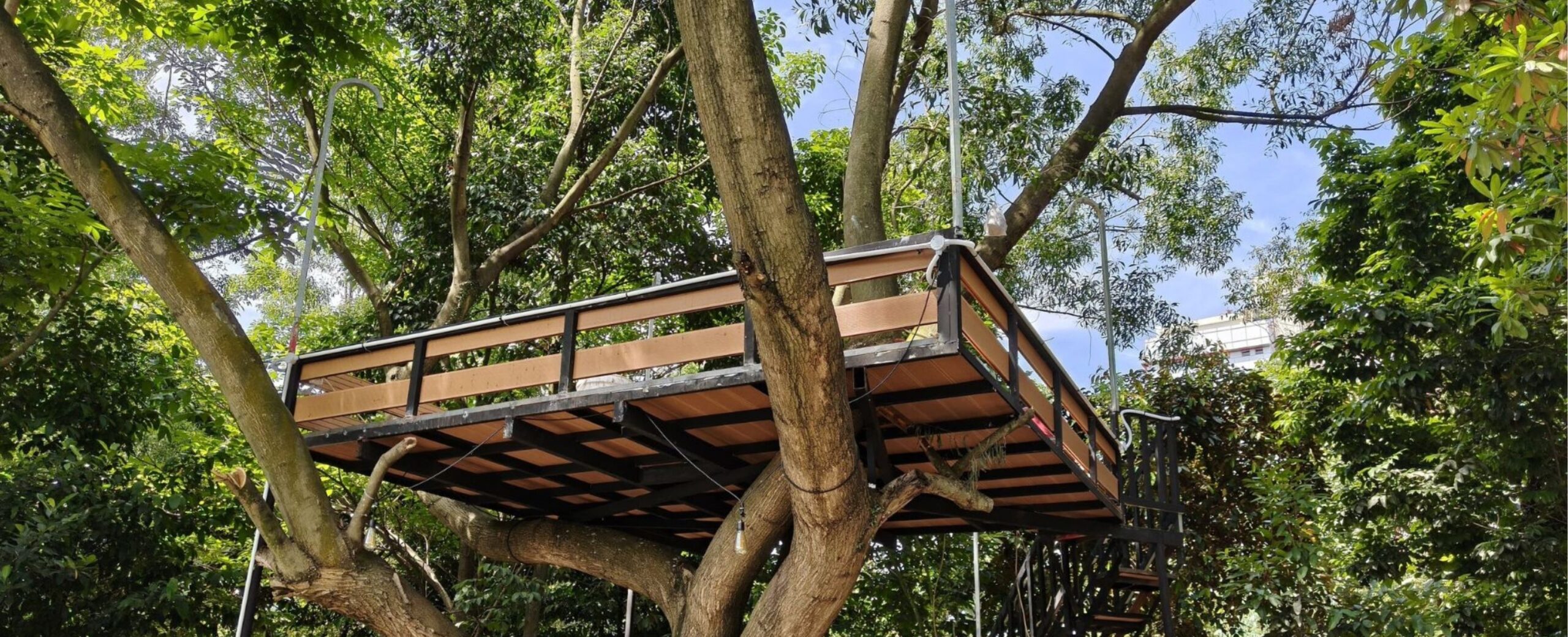 Tree house