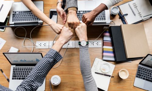 What are the 4 types of business management